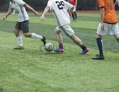 独家揭秘,期双色球,复式,500彩票网官网,500彩票网平台,500彩票网,500彩票网体育机构,500彩票网赛事集团,500彩票网直播官方